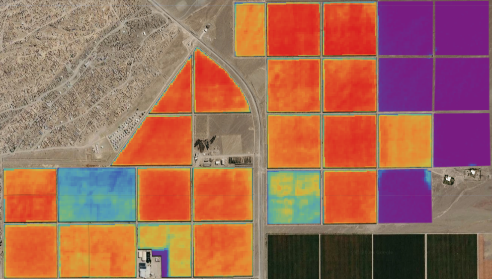 NDVI map of vineyard plots seen from above, coloured from purple for an NDVI of 0 to red for an NDVI of 0.7. Red and orange plots have higher vegetation index values, and purple plots have the lowest.