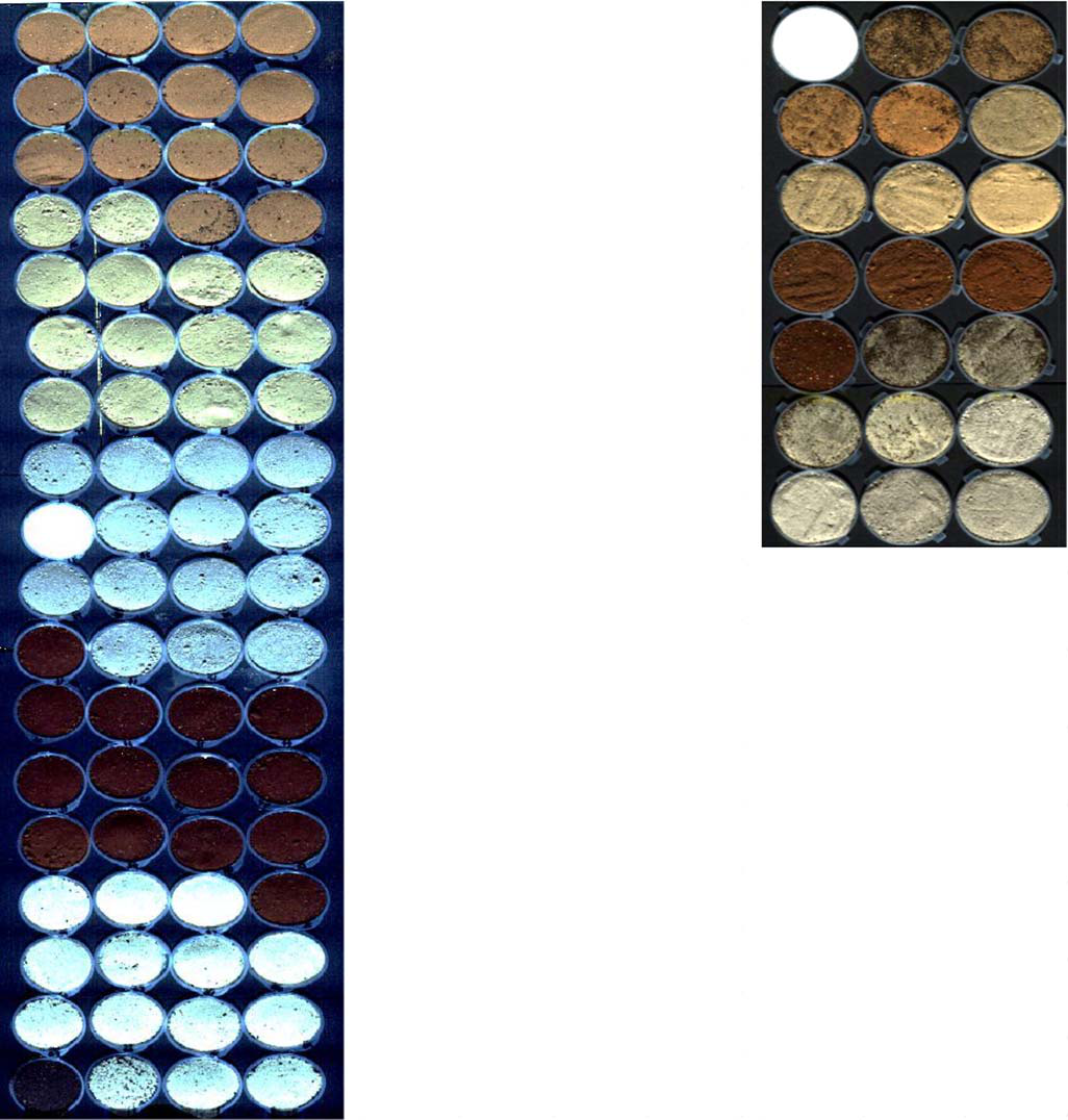 Soil and compost samples laid out in sample trays. The samples range from pale sand to dark brown, reflecting different soil types and organic matter contents.